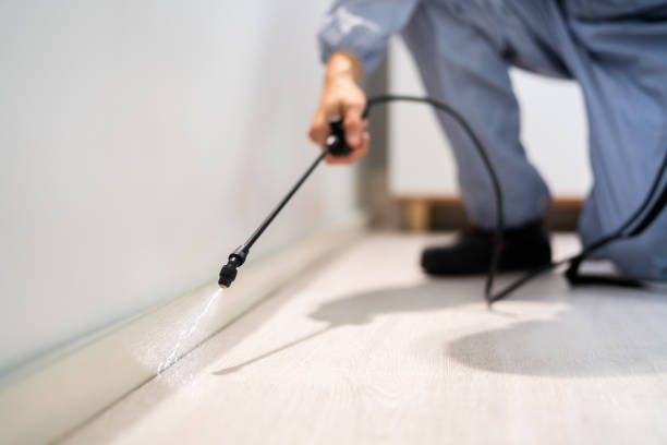 Certified termite inspector examining foundation in Oak Grove